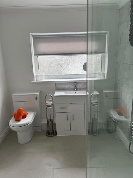Town Centre Studio Flat Merthyr Tydfil Exteriör bild